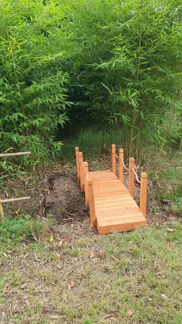 Foresta di Bambù 4